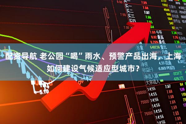 配资导航 老公园“喝”雨水、预警产品出海，上海如何建设气候适应型城市？